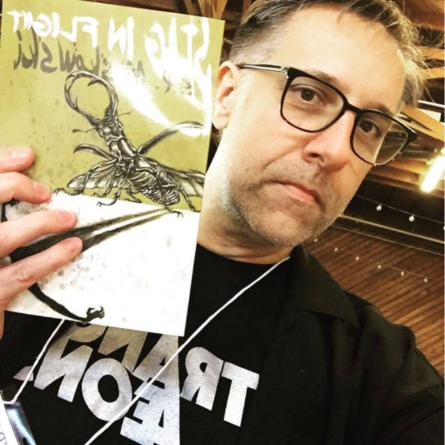 Everyone-needs-Stag-in-Flight